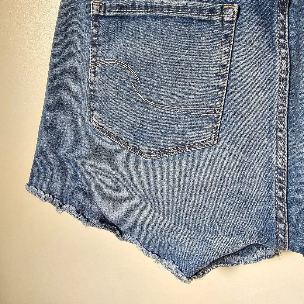 EUC LEVI'S STRAUSS HIGH RISE SHORTS RAW HEM SIZE 12 - W31